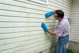 Professional Siding Installation & Repair in Holly Springs, MS